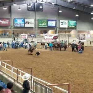 Meet your Posher, Glenn